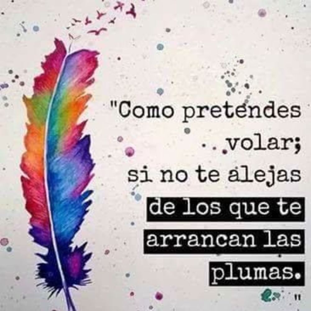 Meet your Posher, Libre